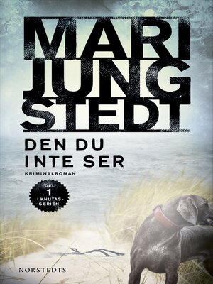 cover image of Den du inte ser